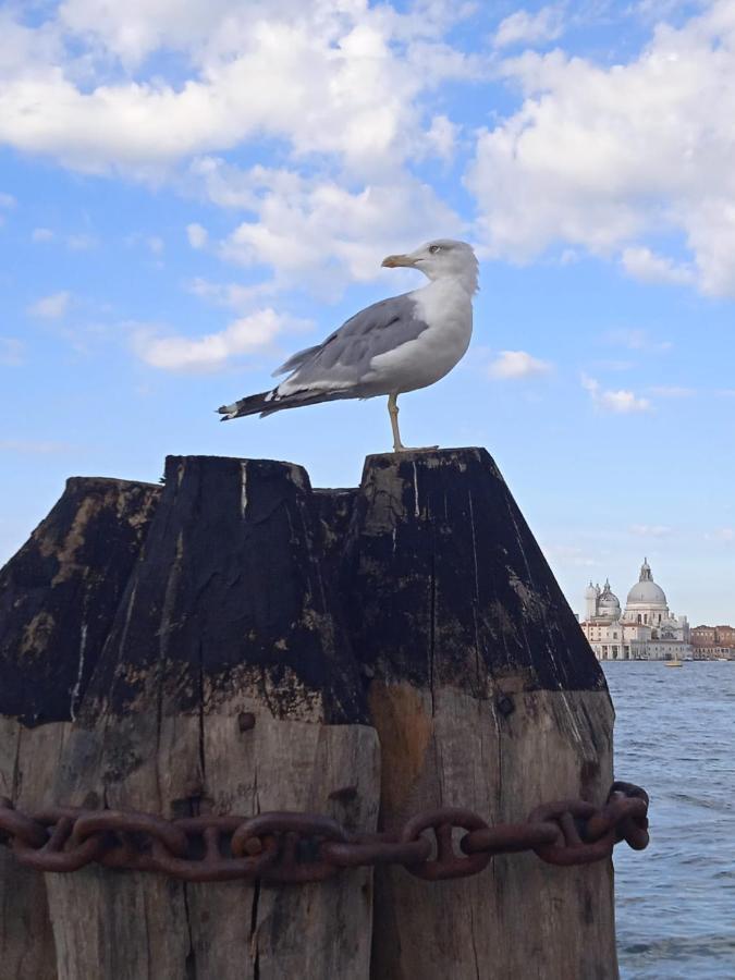 Campo Ruga 314 Apartment Venice